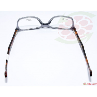 MONTURA RAY BAN RB5228
