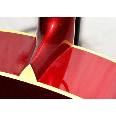 GUITARRA ACUSTICA SQUIER DG6GPCAR