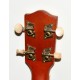 UKELELE ELECTROACUSTICO STAGG US80SE
