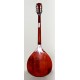 GUITARRA IRISH BOUZOUKI HORA M1089