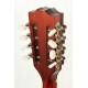 GUITARRA IRISH BOUZOUKI HORA M1089