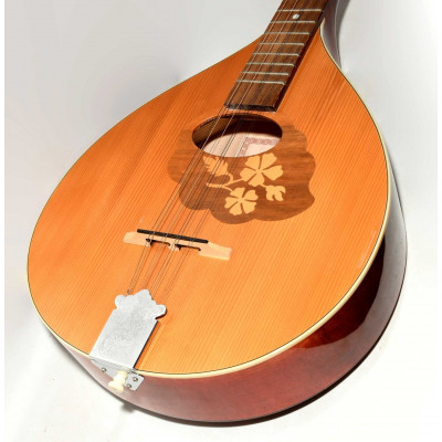 GUITARRA IRISH BOUZOUKI HORA M1089
