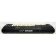 TECLADO CASIO DM100