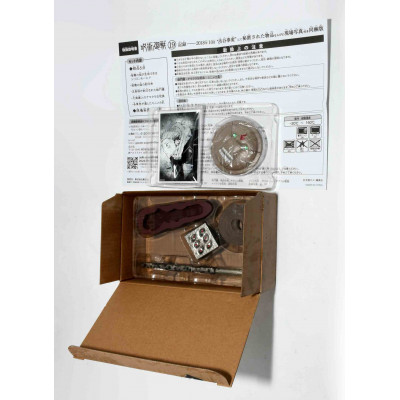 MANGA EDICION COLECCIONISTA JUJUTSU KAISEN NUMERO 19