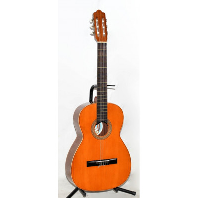 GUITARRA CLASICA VICENTE TATAY