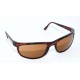 GAFAS DE SOL RAY BAN PS2 PREDATOR