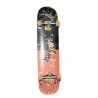 SKATEBOARD VENTURE