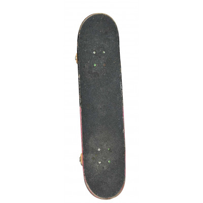 SKATEBOARD VENTURE