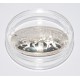 MONEDA 10€ FRANCIA 2015 RUGBY WORLD CUP