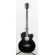 BAJO 5 CUERDAS ELECTROACUSTICO HARLEY BENTON