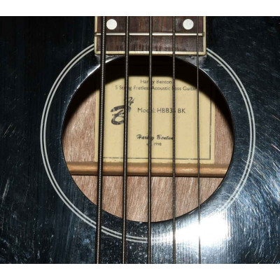 BAJO 5 CUERDAS ELECTROACUSTICO HARLEY BENTON