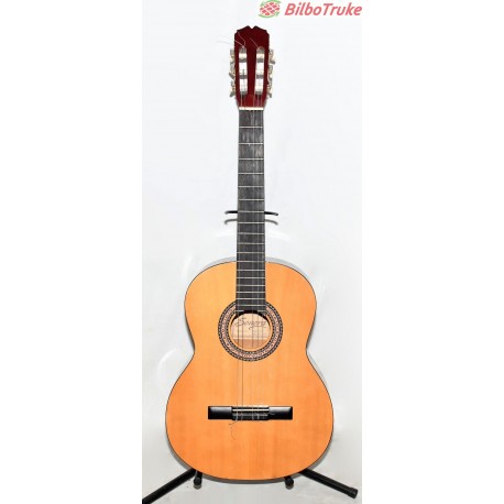 GUITARRA CLASICA SONORA SGN450