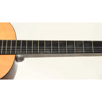 GUITARRA CLASICA SONORA SGN450