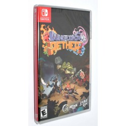 VIDEOJUEGO NINTENDO SWITCH DUNGEONS OF AETHER