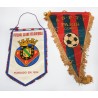 LOTE 28 BANDERINES DEPORTIVOS