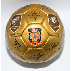 BALON CAMPEONES DEL MUNDO 2010 ESPAÑA FIRMADO (FIRMAS NO MANUALES)