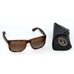 GAFAS DE SOL RAYBAN RB4165