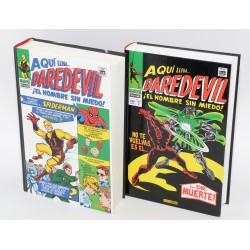 COLECCIÓN MARVEL - COMIC - DAREDEVIL - PANINI - 2 TOMOS
