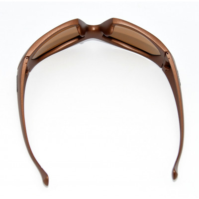 GAFAS CARRERA CA4883SP