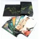 BREAKING BAD COMPLETO DVD