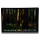 MACBOOK AIR M3 2024 / 512GB SSD / 8GB RAM