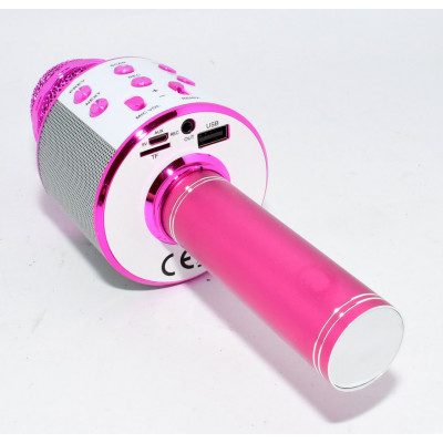 MICROFONO KARAOKE M858