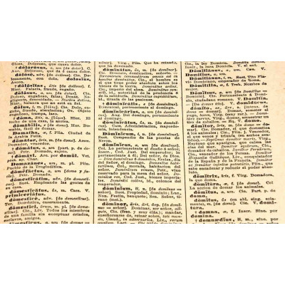 DICCIONARIO RAIMUNDO DE MIGUEL LATINO ESPANOL 1897