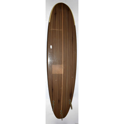 TABLA DE SURF EVOLUTIVA