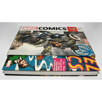 MARVEL COMICS 75 ANOS DE HISTORIA GRAFICA