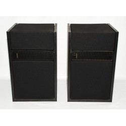 PAREJA ALTAVOCES BOSE 301 SERIES II