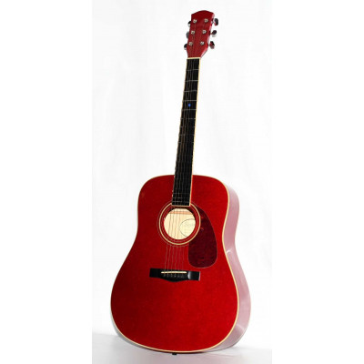 GUITARRA ACUSTICA SQUIER DG6GPCAR