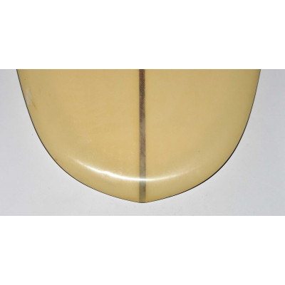 TABLA DE SURF EVOLUTIVA