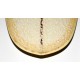 TABLA DE SURF EVOLUTIVA