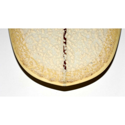 TABLA DE SURF EVOLUTIVA