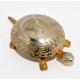 TIMBRE LLAMADOR ALFA TORTUGA