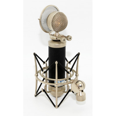 MICROFONO BLUE BABY BOTTLE SL