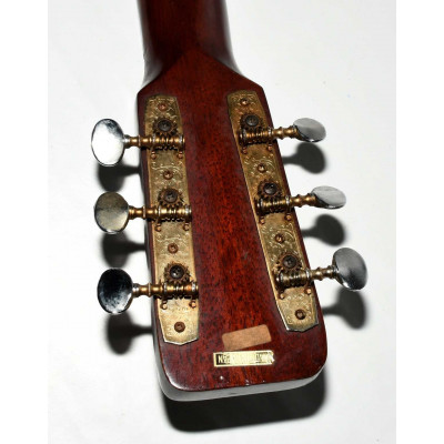 GUITARRA ACUSTICA IRIS W-100 JAPAN