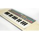 TECLADO VINTAGE CASIO SA35