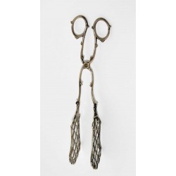 PINZA DE PLATA ISABELINAS