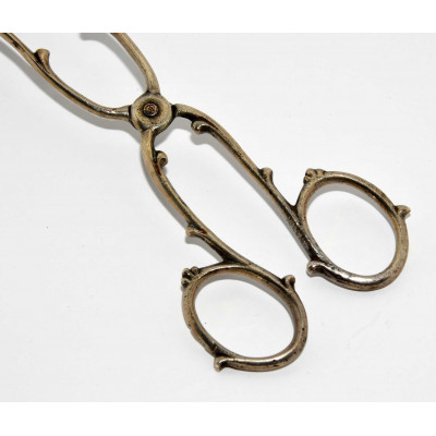 PINZA DE PLATA ISABELINAS