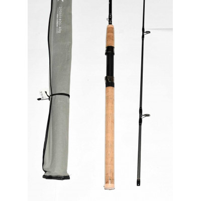 CAÑA PESCA RAPALA BEGIX 210