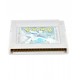 VIDEOJUEGO POKEMON PLATA