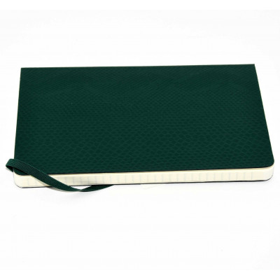 LIBRETA MOLESKINE VERDE