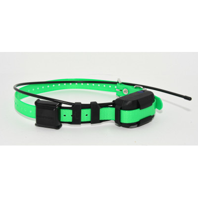 COLLAR DE PERROS DOGTRA PATHFINDER MINI