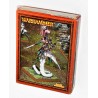 CAJA WARHAMMER FANTASY LORD OF SLAANESH