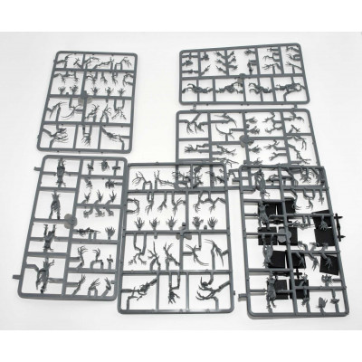 CAJA WARHAMMER FANTASY DRIADAS DE LOS ELFOS SILVANOS