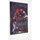 COMIC MARVEL SPIDERMAN REINO 5
