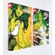 MARVEL LIMITED EDITION SAGA LA SALVAJE HULKA