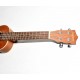 UKELELE RAYZM