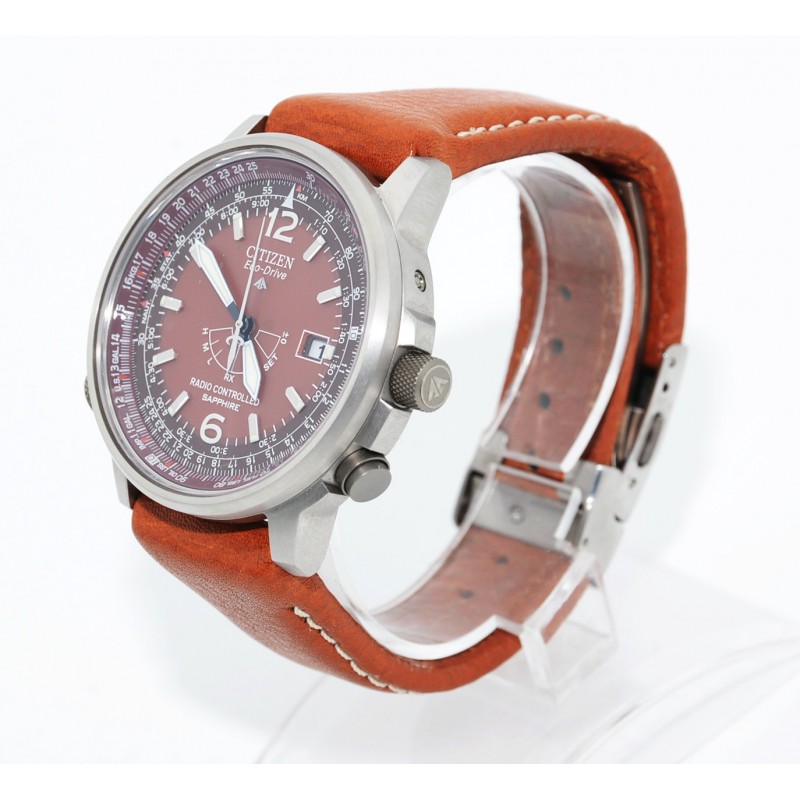 citizen eco drive titanium promaster